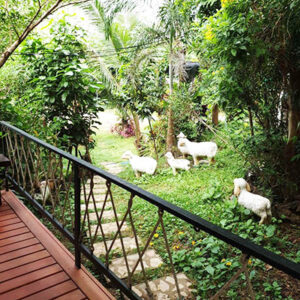 เช็กโฉนดยังไง